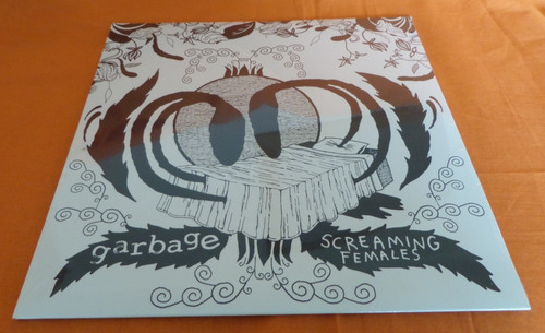 Garbage because the night - because,